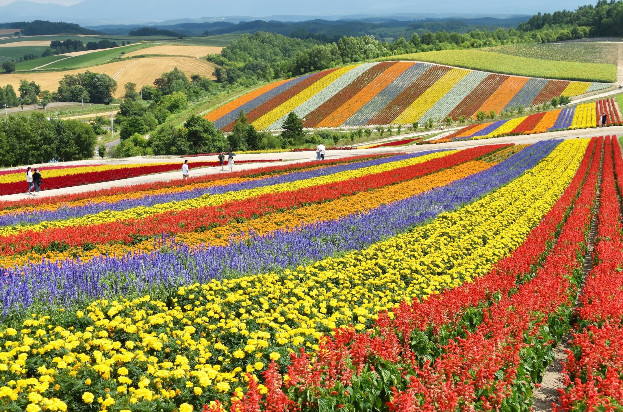 The Ultimate Guide To Visiting Japan s Hokkaido Island Skratch The Ultimate Guide To Visiting Japan s Hokkaido Island Skratch